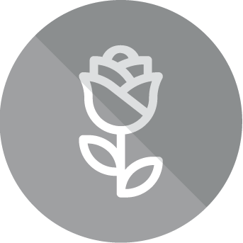 Icono Seguro de Sepelio - Rosa